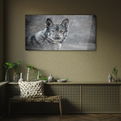 Foto op glas Portret van een grijze hond