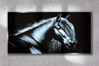 Schilderij op glas Een donker paard in het schijnsel van het licht