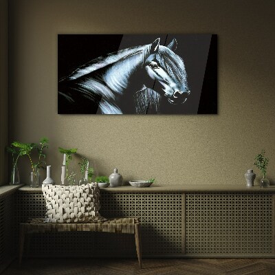 Schilderij op glas Een donker paard in het schijnsel van het licht