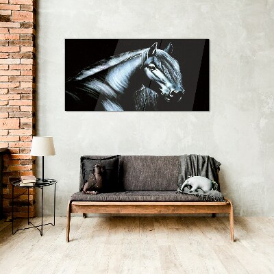 Schilderij op glas Een donker paard in het schijnsel van het licht
