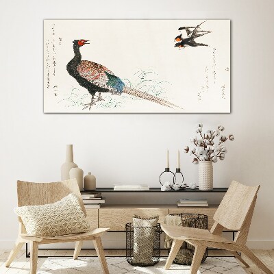 Schilderij op glas Pauwendans in het lentelandschap