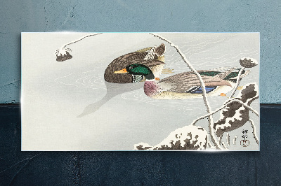 Foto op glas Een vredig tafereel met eenden