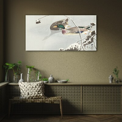 Foto op glas Een vredig tafereel met eenden