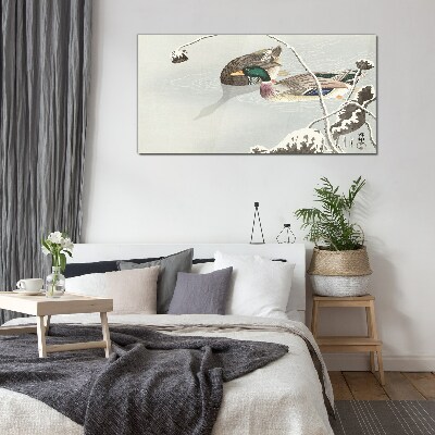 Foto op glas Een vredig tafereel met eenden