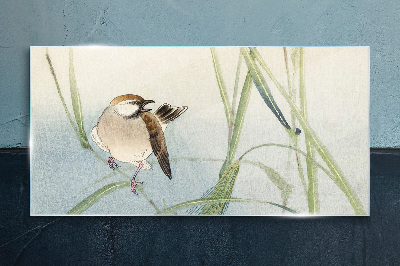 Foto op glas Een mees tegen het gras