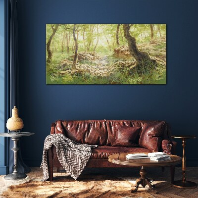 Foto op glas Groen boslandschap met stenen