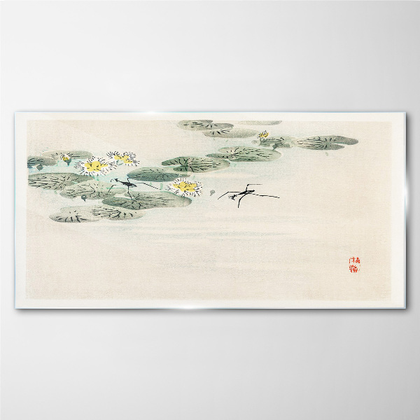 Foto op glas Waterlelies op een kalm wateroppervlak