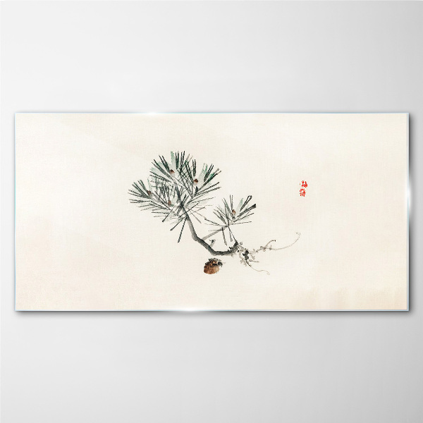 Foto op glas Pijnboom op een witte achtergrond