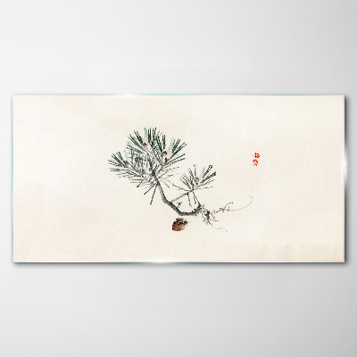 Foto op glas Pijnboom op een witte achtergrond