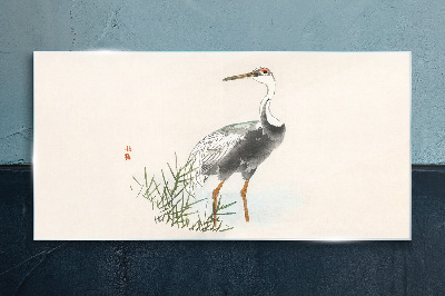 Glas foto Zwarte ooievaar tegen de achtergrond van het gras