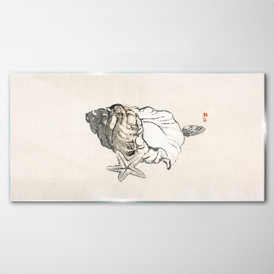 Foto op glas Zeesterrenschelp