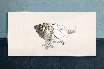 Foto op glas Zeesterrenschelp