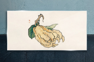 Foto op glas Citroenboom op een witte achtergrond