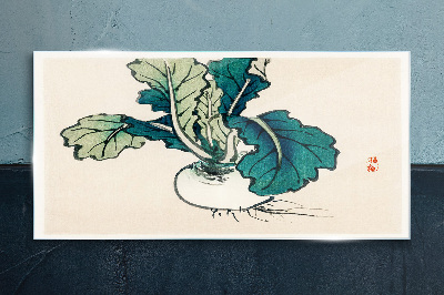 Foto op glas Groene radijs op een lichte achtergrond