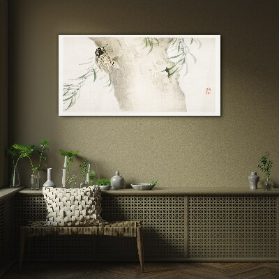 Schilderij op glas Cicade op een tak