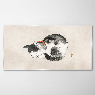 Foto op glas Slapende kat