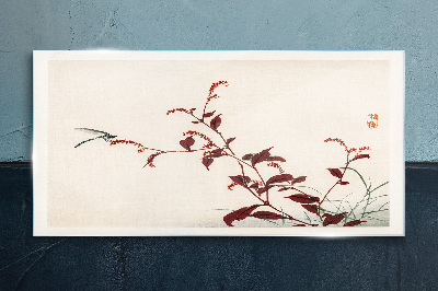 Foto op glas Slanke takken met een libel