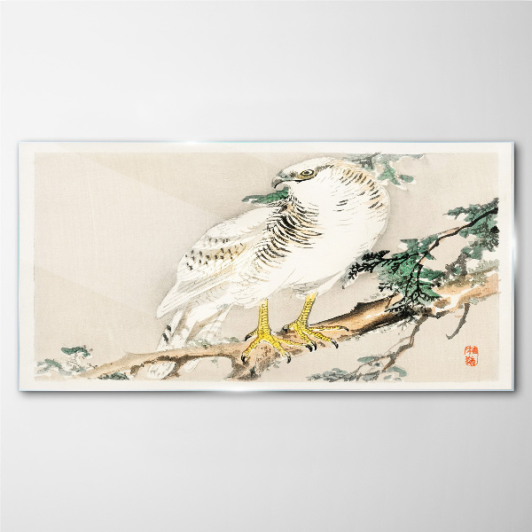 Schilderij op glas Valk op een tak