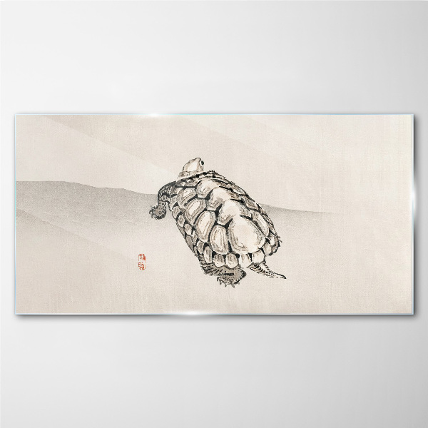 Glas foto Schildpad op een minimalistische achtergrond