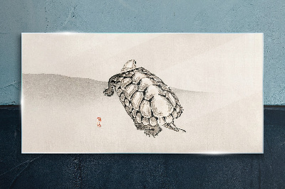 Glas foto Schildpad op een minimalistische achtergrond