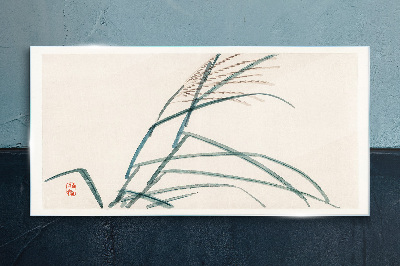 Foto op glas Delicate grasblaadjes