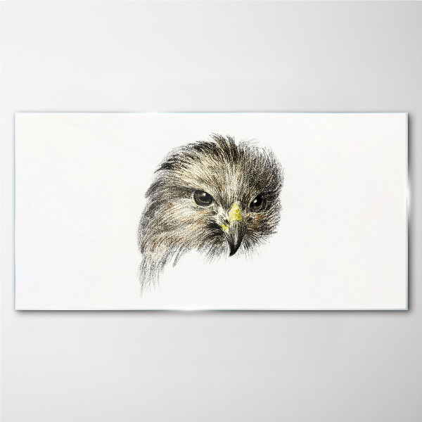 Glas foto Portret van een roofvogel