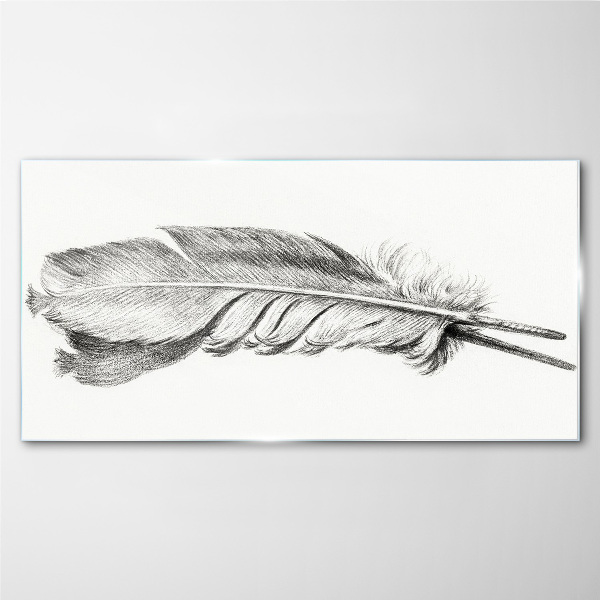Schilderij op glas De delicatesse van een veer op een witte achtergrond