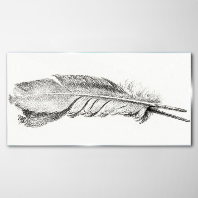 Schilderij op glas De delicatesse van een veer op een witte achtergrond