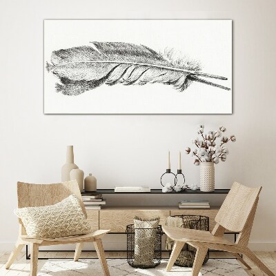 Schilderij op glas De delicatesse van een veer op een witte achtergrond