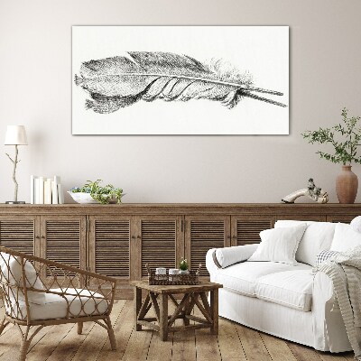 Schilderij op glas De delicatesse van een veer op een witte achtergrond