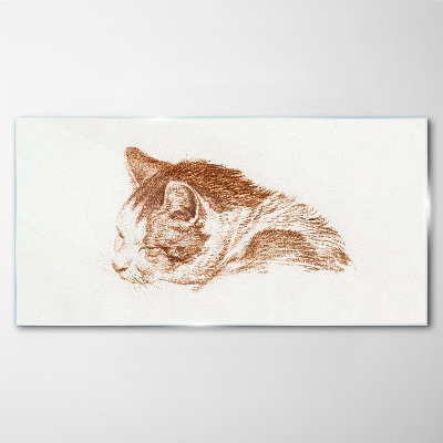 Schilderij op glas Een slaperig moment van een kat