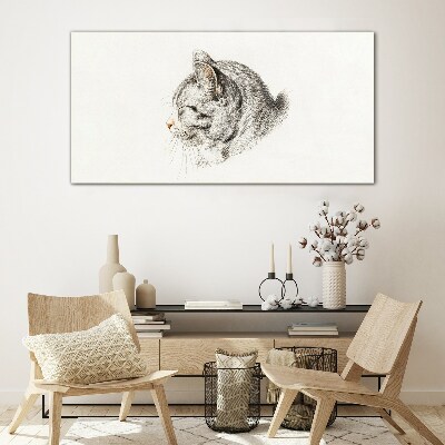 Schilderij op glas Portret van een grijze kat op een witte achtergrond