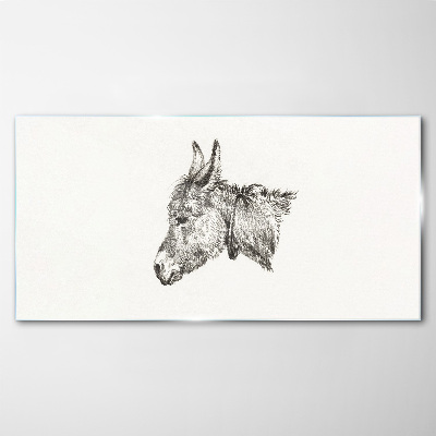 Foto op glas Portret van een ezel in monochrome stijl