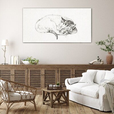 Glas foto Slapende kat