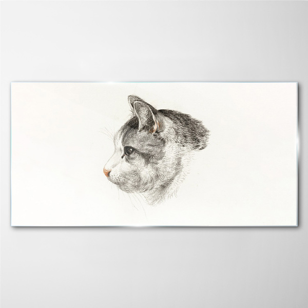 Foto op glas Portret van een kat op een witte achtergrond