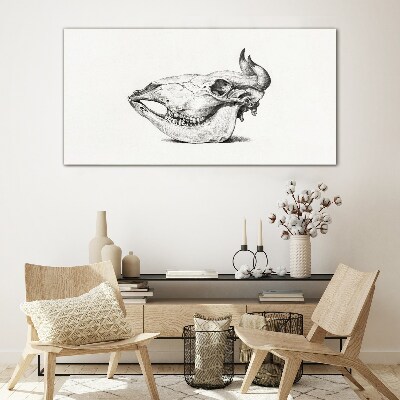 Glas foto Dierenschedel