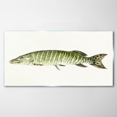 Schilderij op glas Muskie in zijn natuurlijke habitat