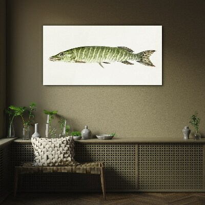 Schilderij op glas Muskie in zijn natuurlijke habitat