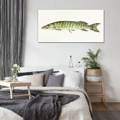 Schilderij op glas Muskie in zijn natuurlijke habitat