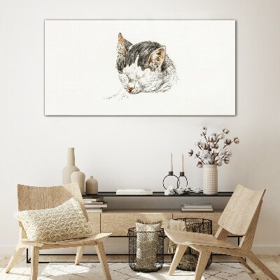 Foto op glas De droom van de kat