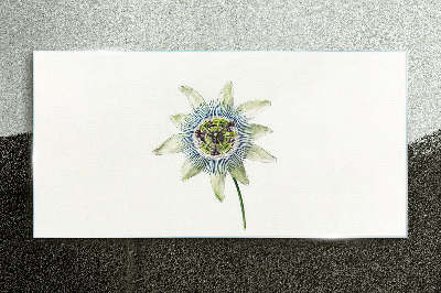 Glas foto Passiebloem op een witte achtergrond