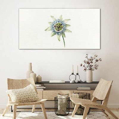Glas foto Passiebloem op een witte achtergrond