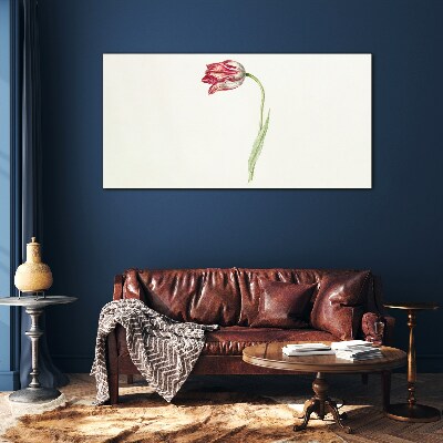 Foto op glas Tulp in delicate tinten