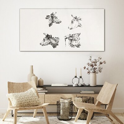 Foto op glas Zwart-witportret van vee