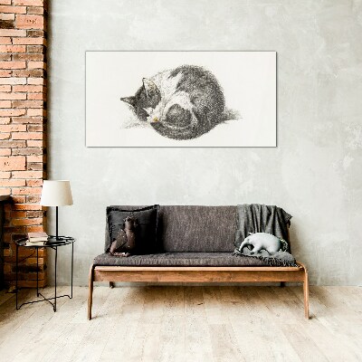 Glas foto Een kattendroom in monochrome tinten