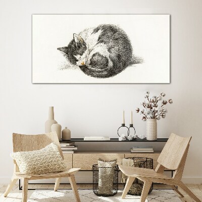 Glas foto Een kattendroom in monochrome tinten