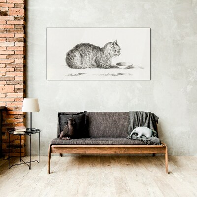 Foto op glas Idyllische kat bij de kom