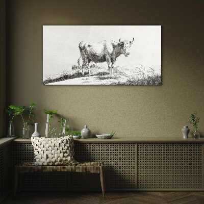 Schilderij op glas Zwarte koe in de weide