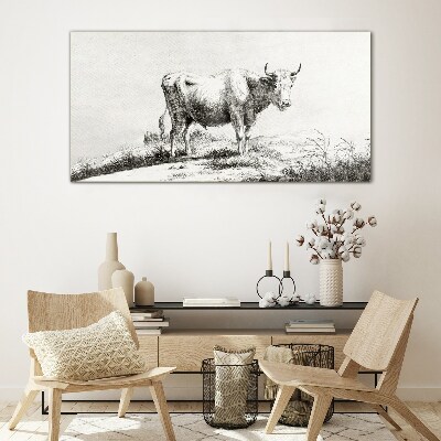 Schilderij op glas Zwarte koe in de weide