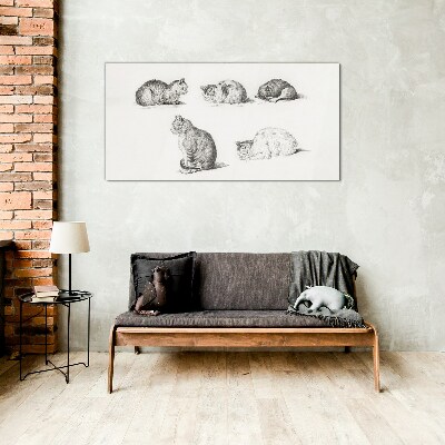 Foto op glas Verschillende houdingen van katten